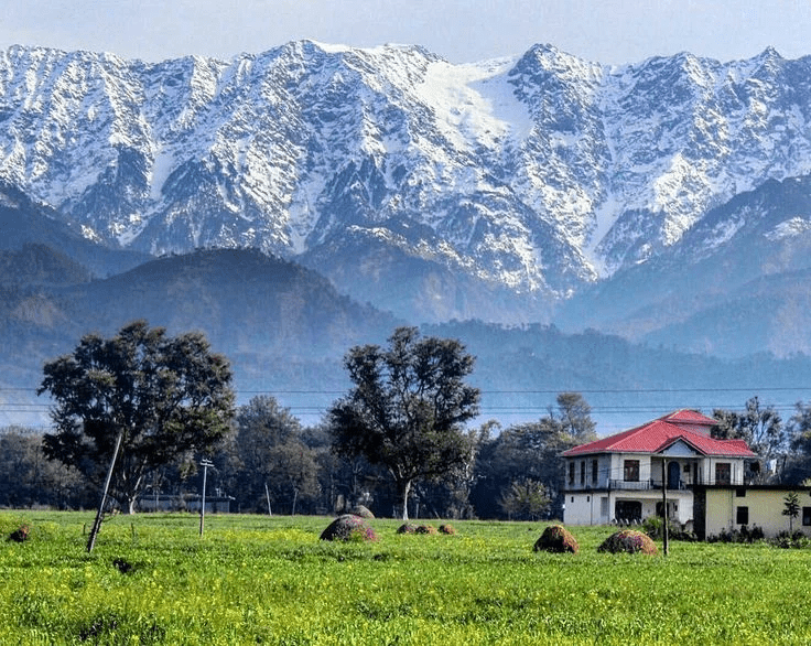taxi service kangra