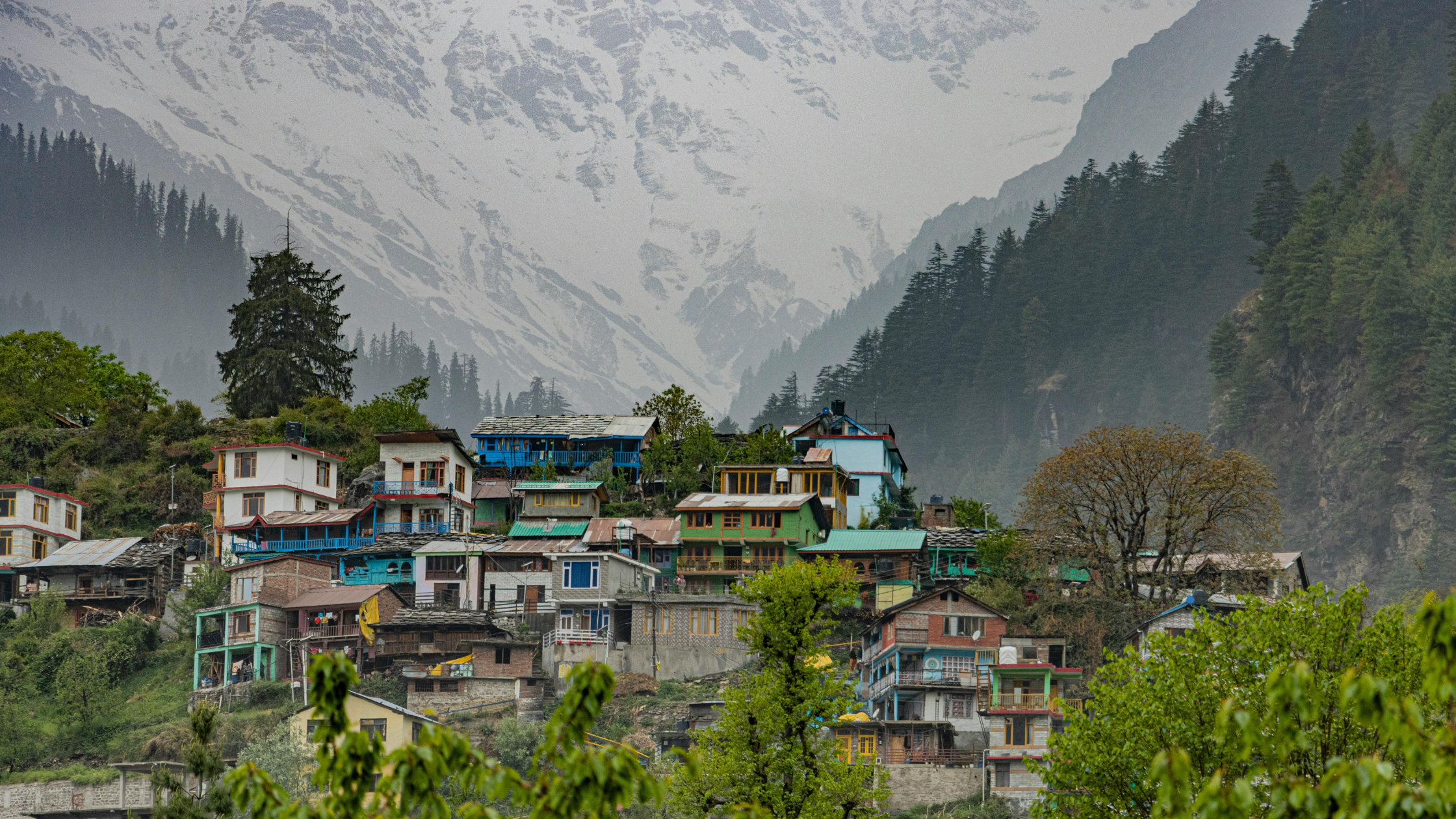 Trip to manali
